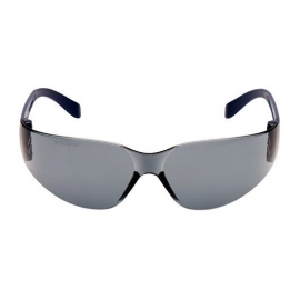 Occhiali di protezione 3M 2721 Classic